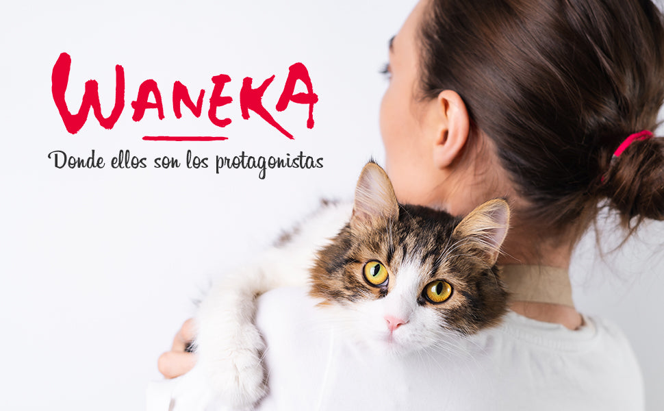 ¡Waneka: la marca española que está revolucionando el mundo de los productos para gatos!