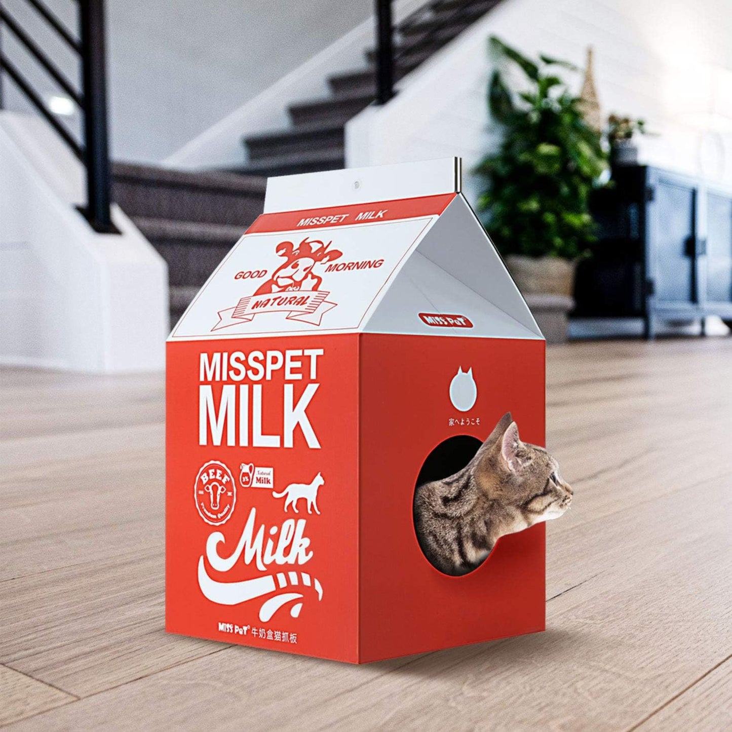 Caja carton para gatos carton corrugado