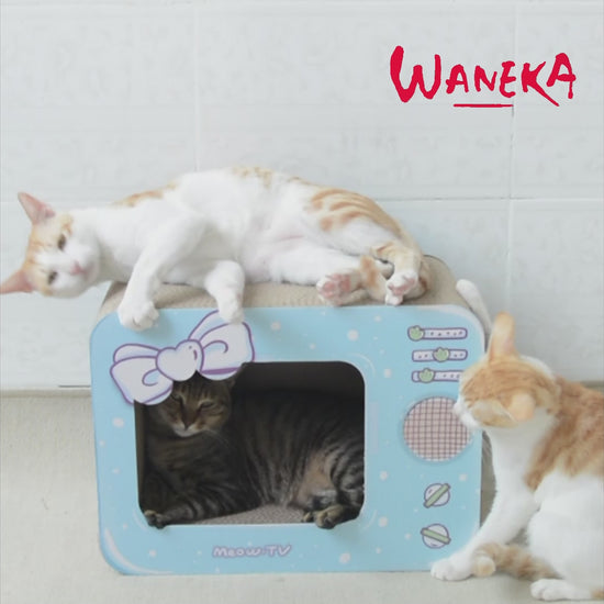 Caja rascador para Gatos | Caja TV Blue | Waneka