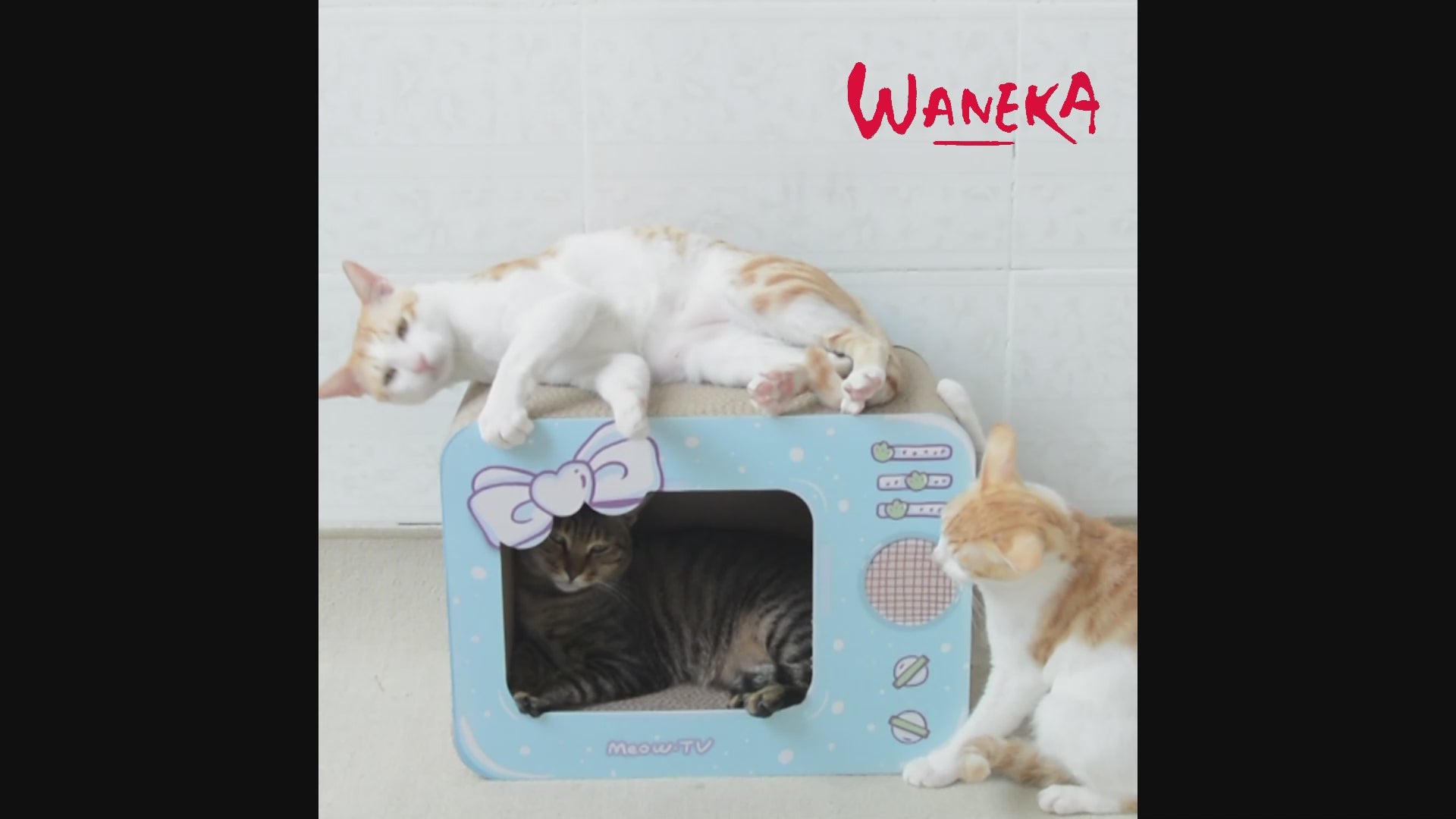 Caja rascador para Gatos | Caja TV Blue | Waneka